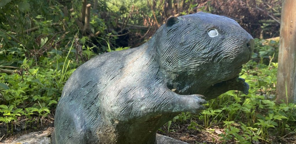 Fahrradtour Hohe Elbufer