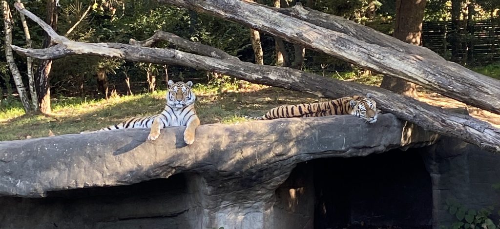 Hagenbecks Tierpark Hamburg