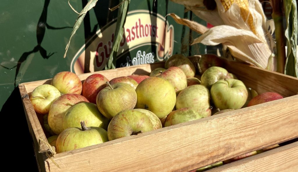 Herbstmarkt Gut Basthorst