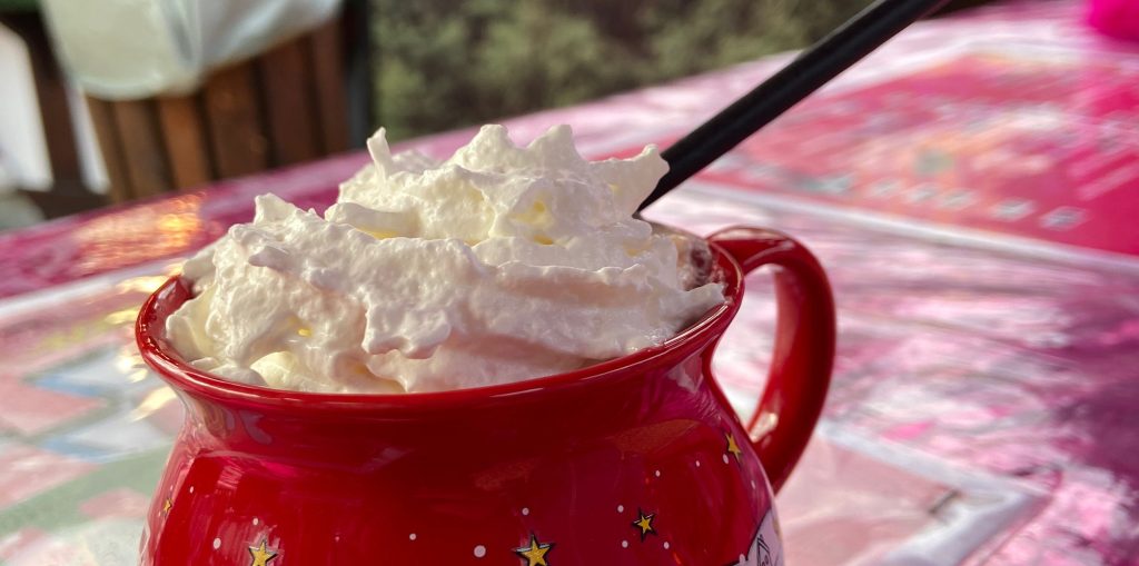 Hamburgs Santa Pauli