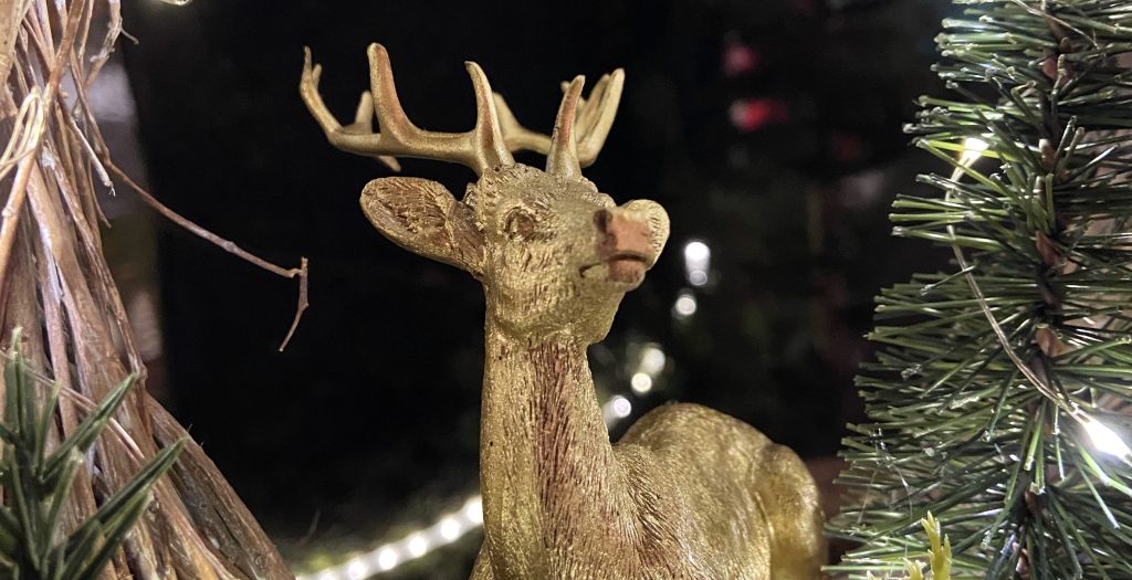 Weihnachtsmarkt Gut Basthorst