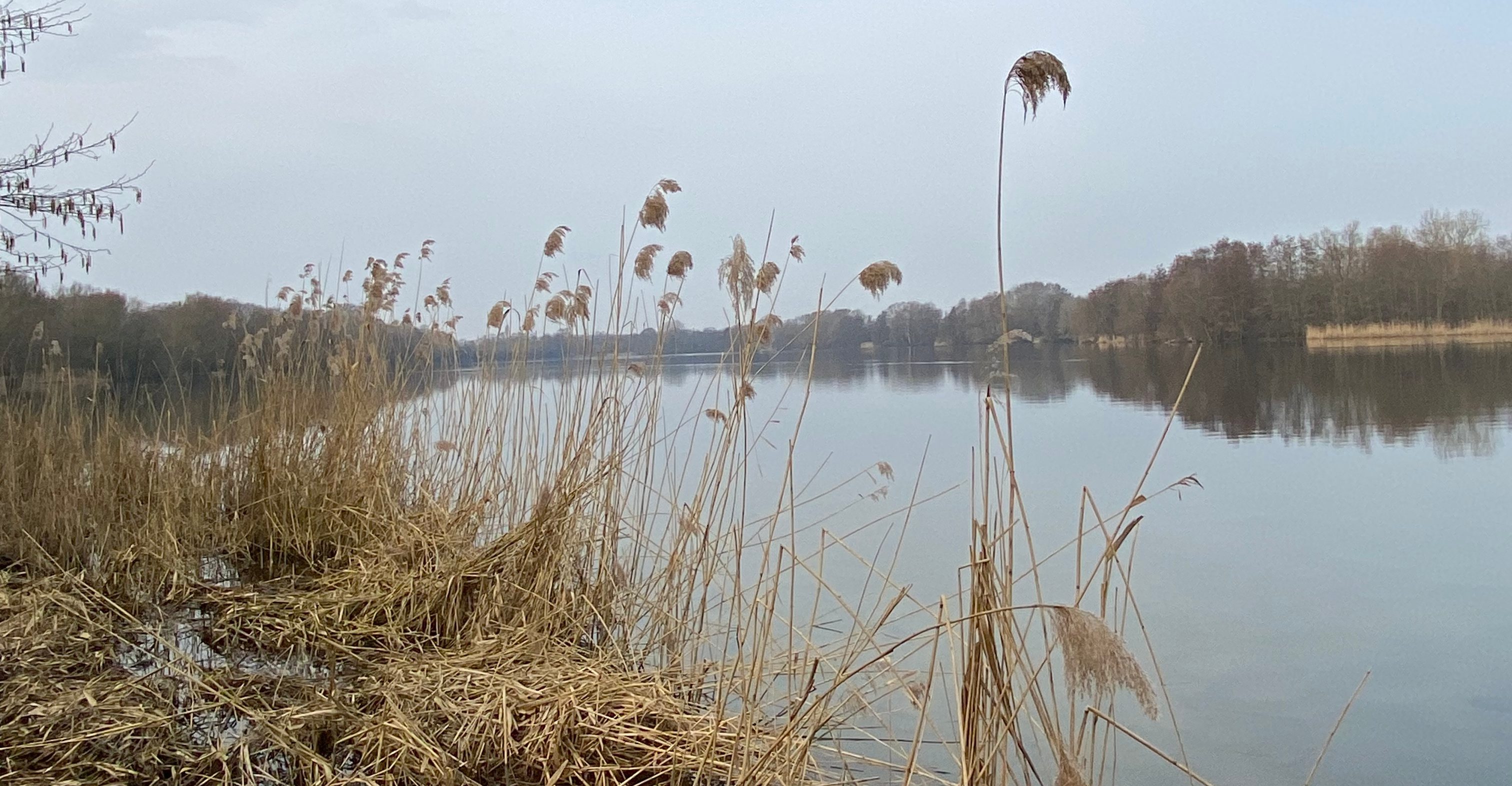Eichbaumsee/Dove Elbe