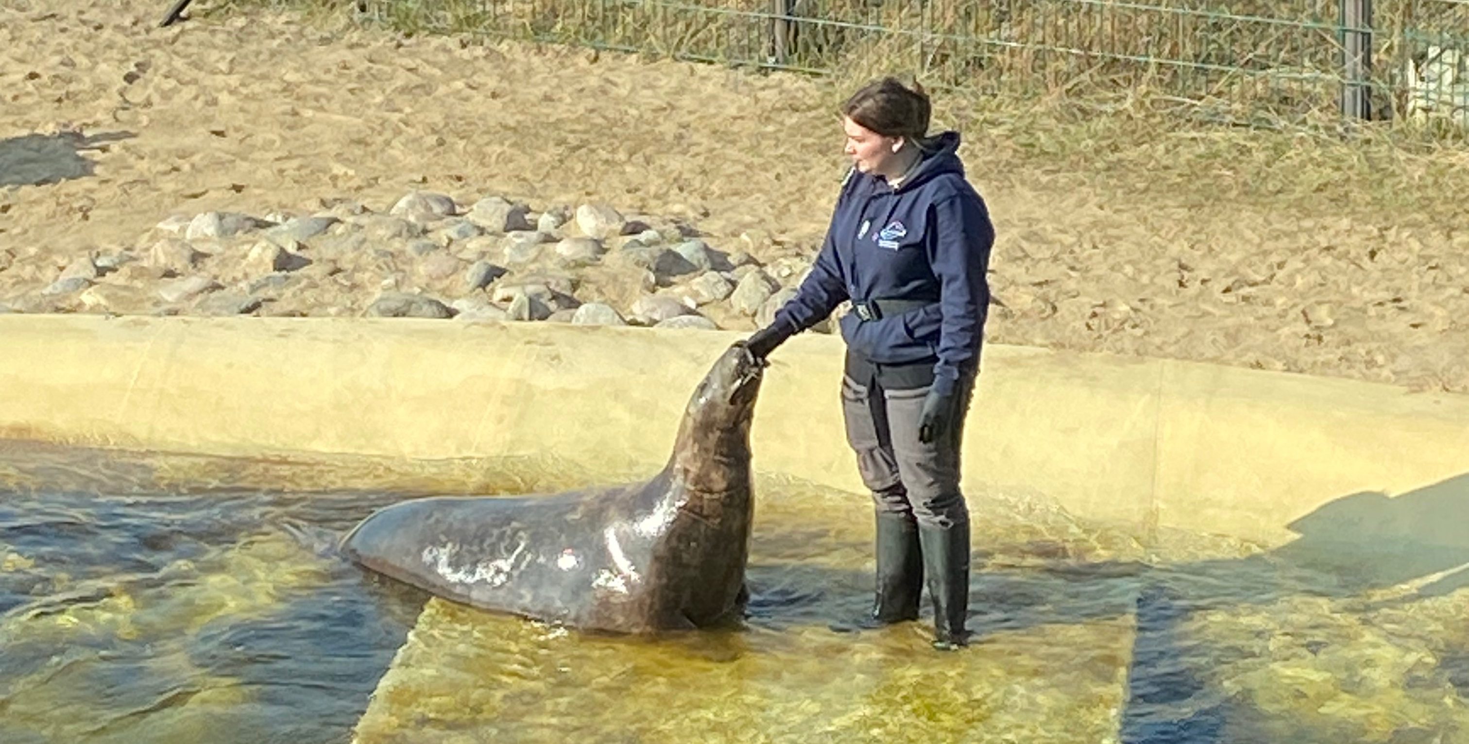 Seehundstation Friedrichskoog