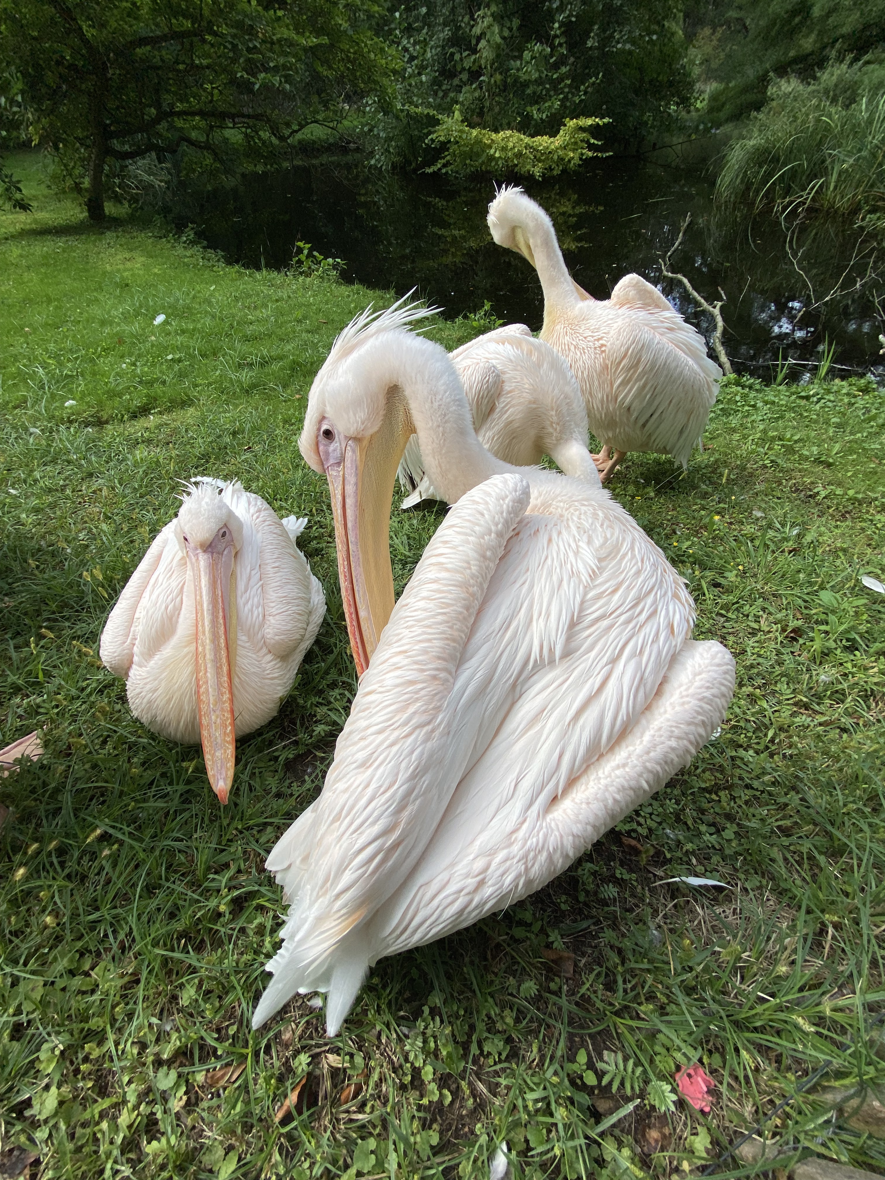 Zoo Schwerin